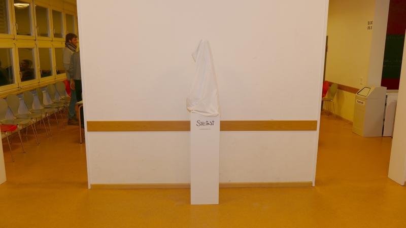 BronzesteiniNo002